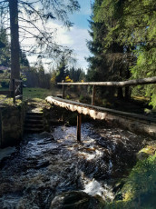 WhatsApp Image 2026-02-12 at 12.05.16 (1)