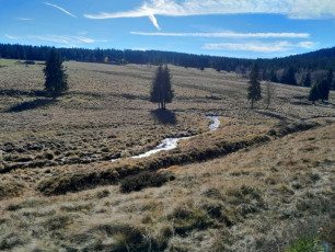 WhatsApp Image 2026-02-12 at 12.05.16