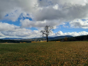 WhatsApp Image 2026-02-12 at 12.05.16 (2)