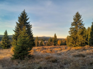 WhatsApp Image 2026-02-12 at 12.05.16 (3)