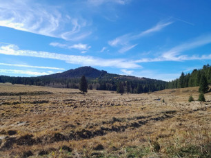 WhatsApp Image 2026-02-12 at 12.05.16 (4)